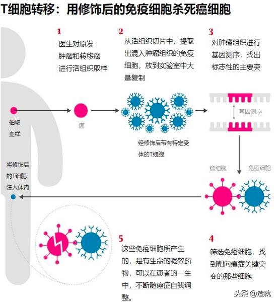癌症免疫疗法新突破,什么叫做免疫疗法