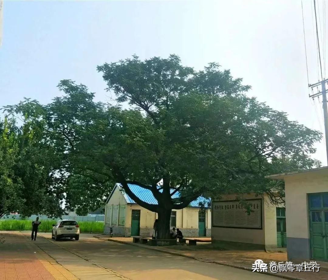 章丘古老的中学在哪里,章丘第一中学搬迁吗