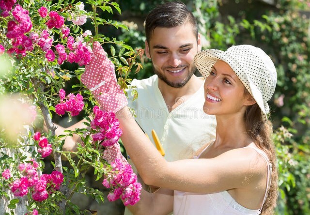 妻子不爱自己了会有什么表现,老婆不爱自己了该怎么办