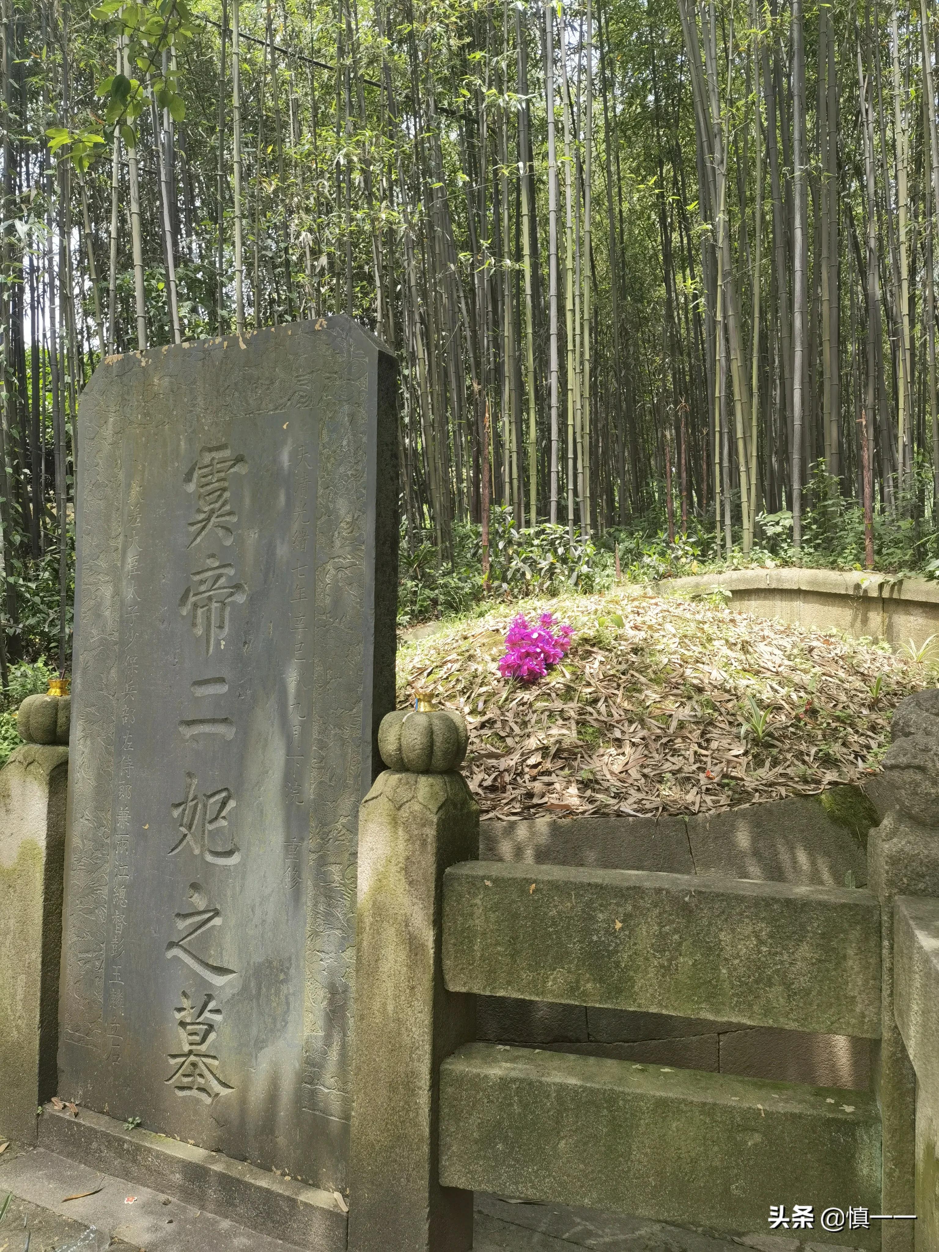 见到传说中的柳毅井传书亭，拜谒湘妃墓、亲眼目睹湘妃竹的真面目