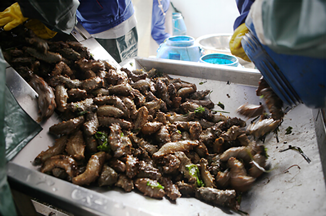 海参泡发后一直在水里泡着吗,为什么海参泡出来没有刺