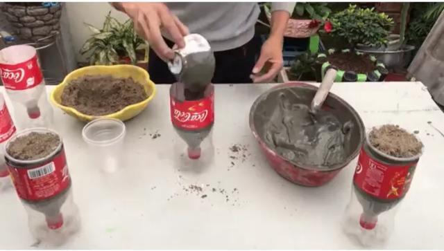 饮料瓶做的花盆如何浇水,用雪碧瓶做自动浇水花盆