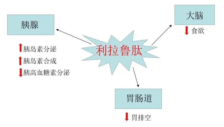 哪里可以打减肥针,在韩国怎么打减肥针