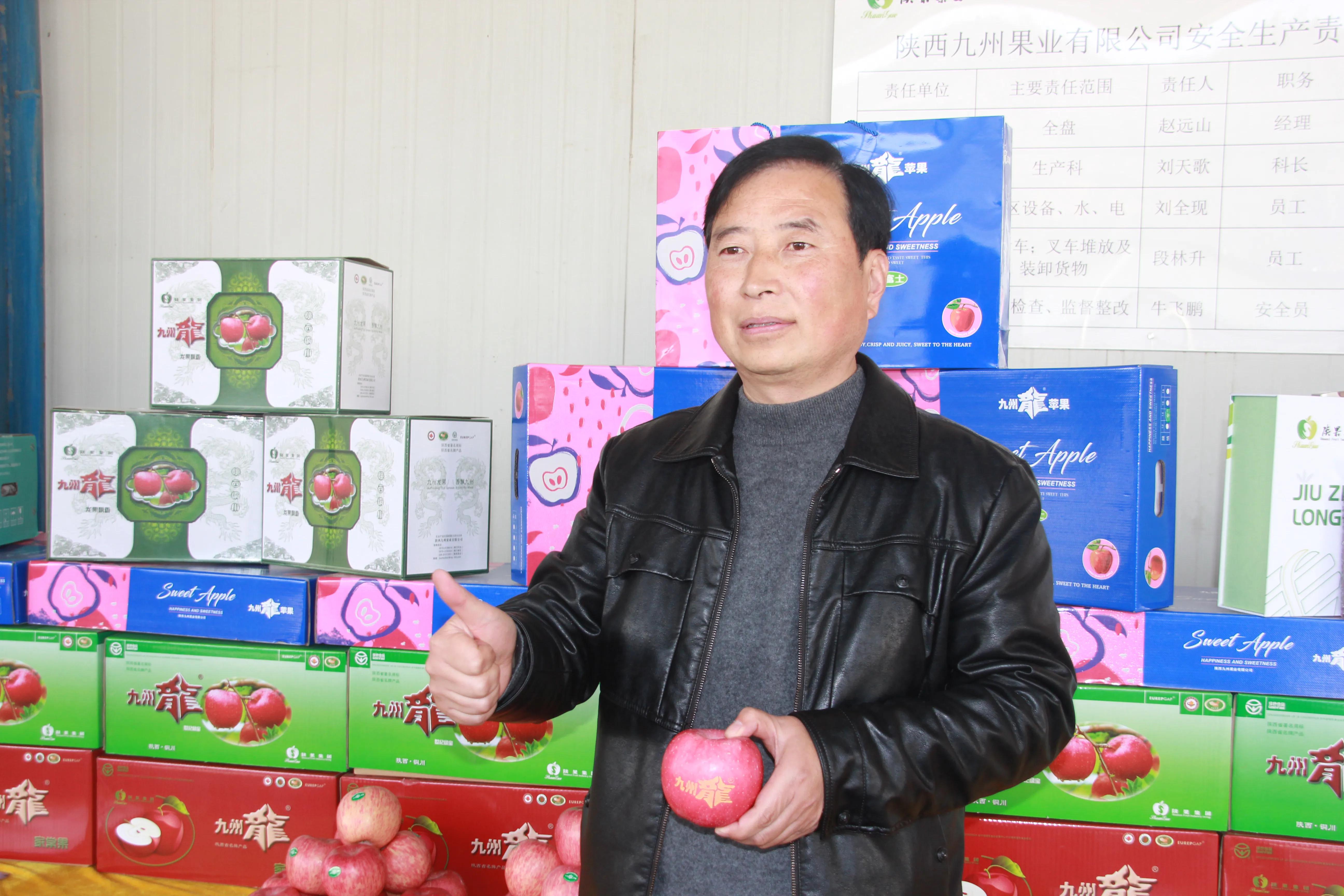 一品苹果·唯美印台,陕西果业产区行走进铜川印台区苹果优生区