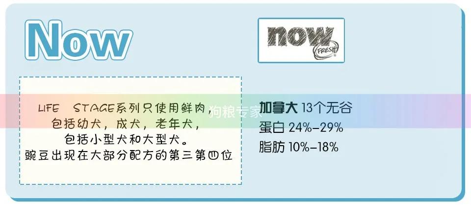 wdj鎺ㄨ崘鐨勭嫍绮帓琛屾,2020wdj鐙楃伯鎺掕