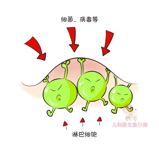 宝宝耳后脖子处按压有疙瘩,儿童耳后有个硬疙瘩挂哪一科