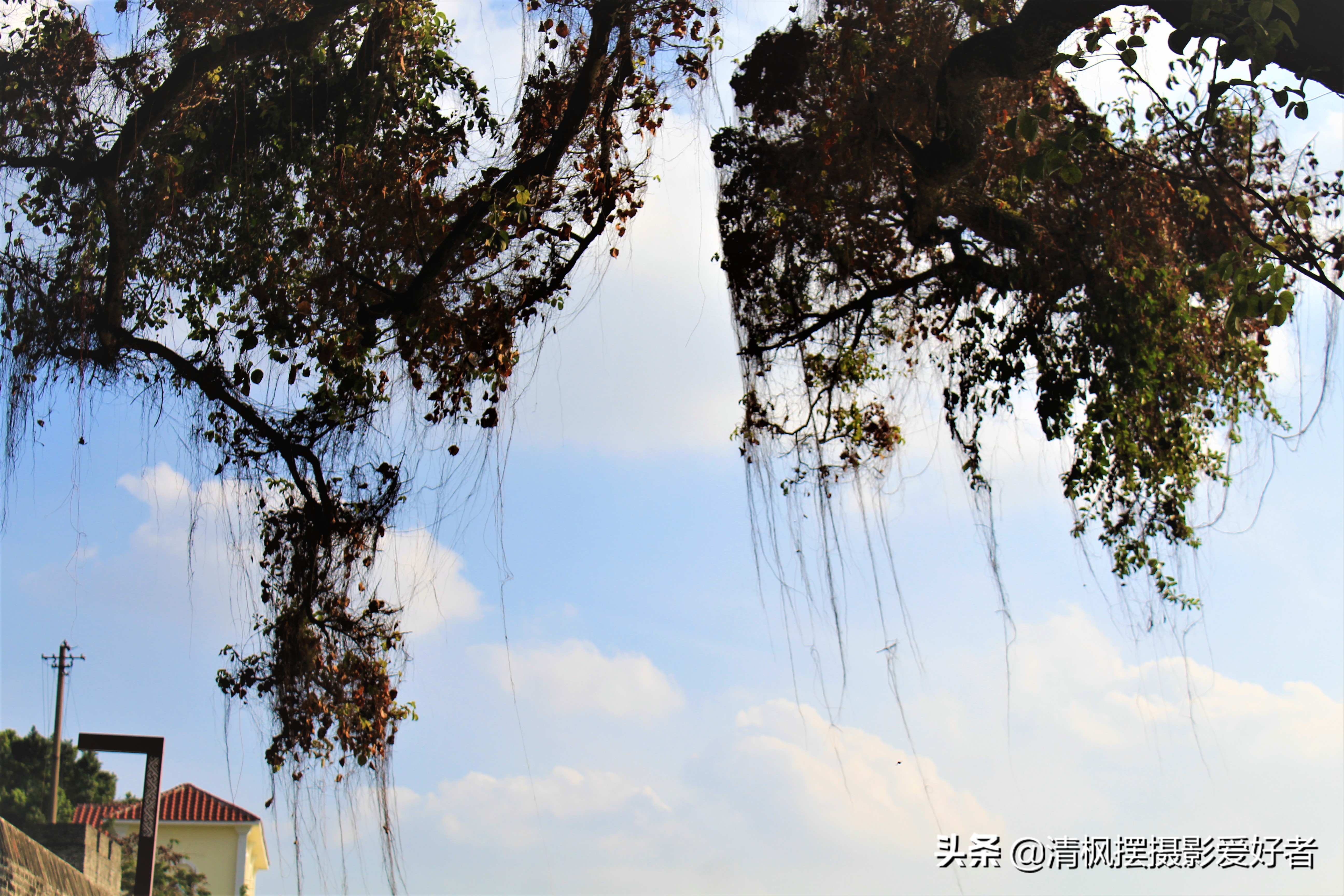 南宁最近的古城,南宁古城墙景区里面有什么