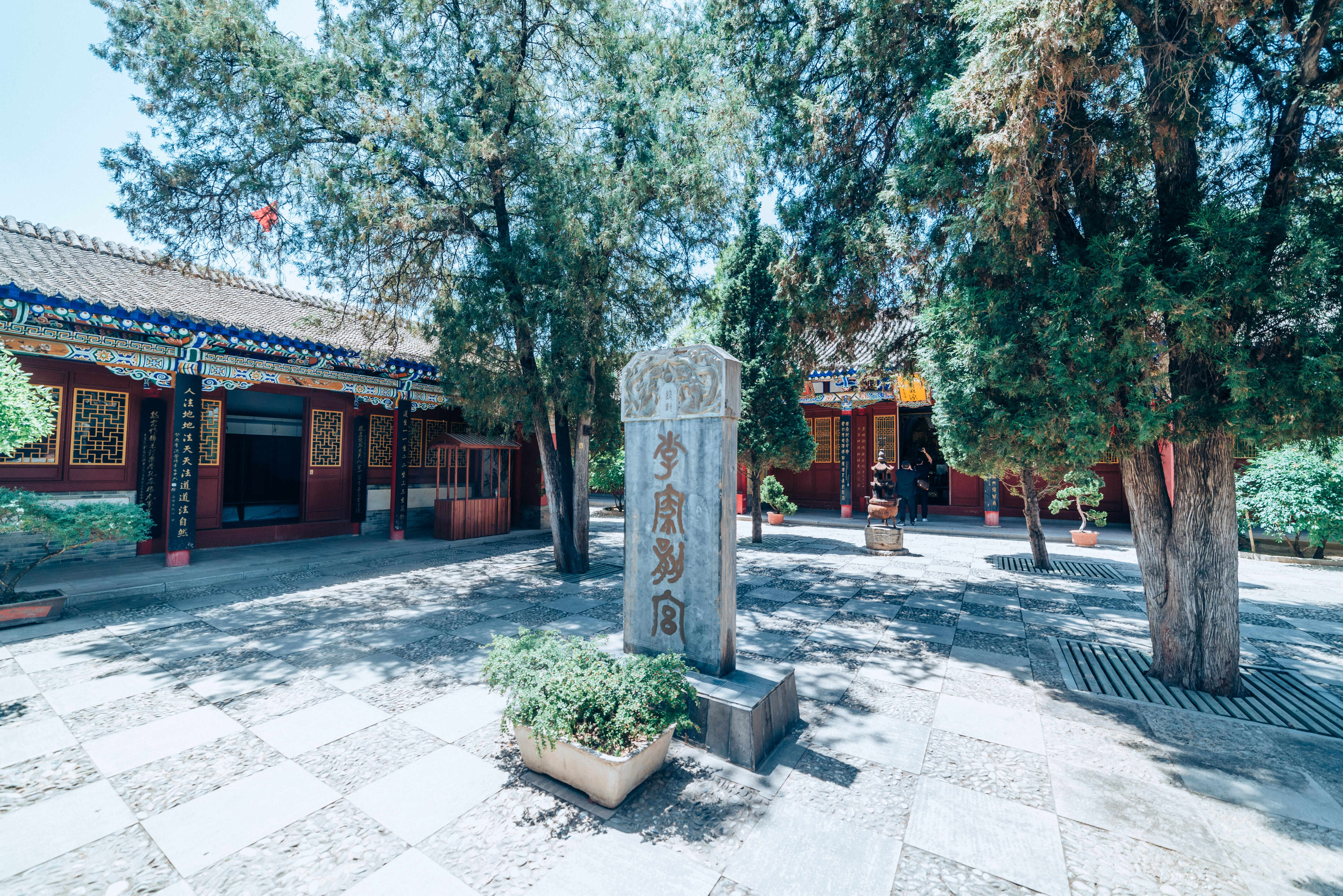 李是不是中国最强的姓氏,李为何能问鼎最强姓氏