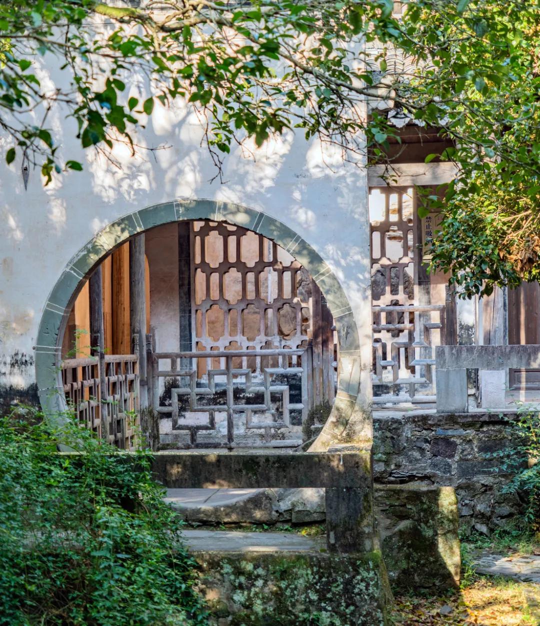 安徽春天美丽的视频,安徽美丽的春天