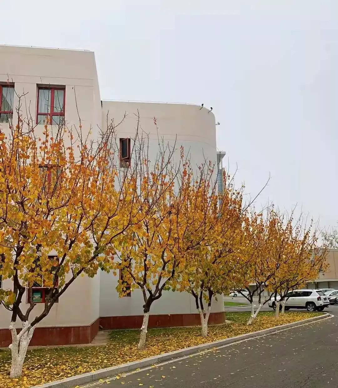 天津商业大学宝德学院在天津排名,天津市独立学院有多少