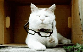 十几岁才发现弱视弱视可以治愈吗,好好的眼睛怎么就散光了