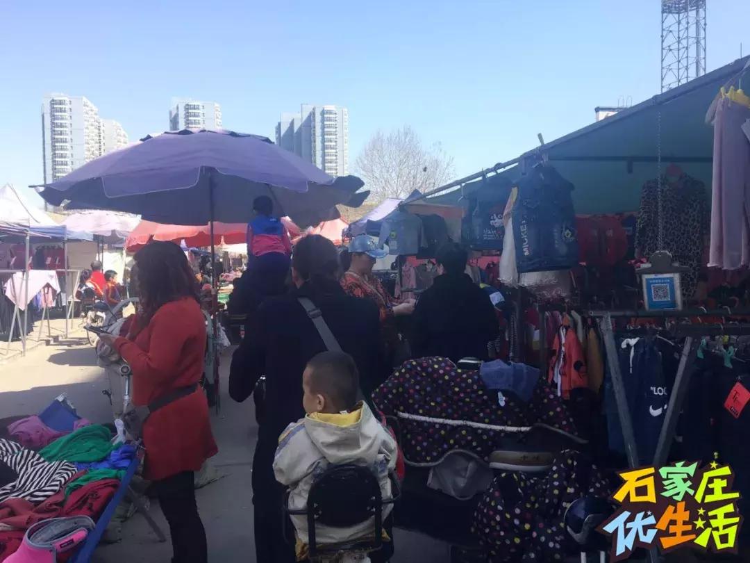 夹缝里生存,夹缝中生存