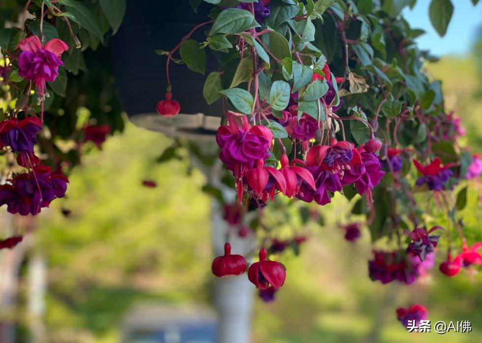 美国各州最富有的镇,美国所有城市最富的是哪个城市