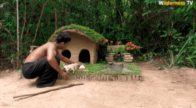 小哥哥徒手建房子,小伙为流浪狗打造温馨的城堡