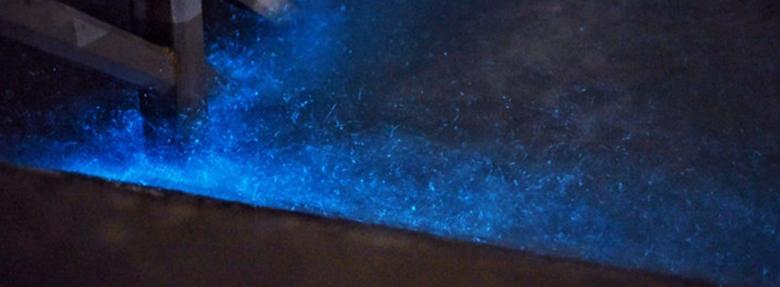 巴厘岛世界顶级海岛,离上海最近的绝美海岛枸杞岛