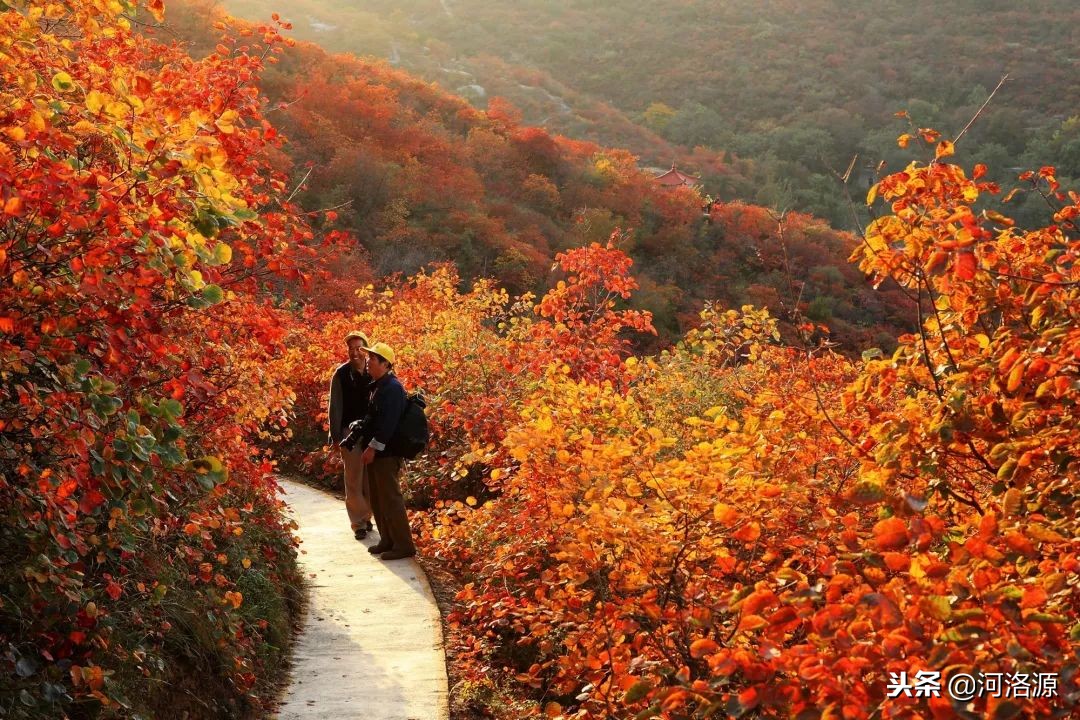 巩义又被称为什么,历史上的巩义