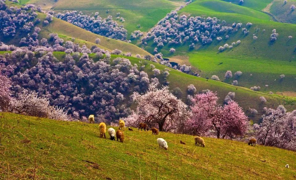 戴口罩的春节,戴口罩的冬天过去了