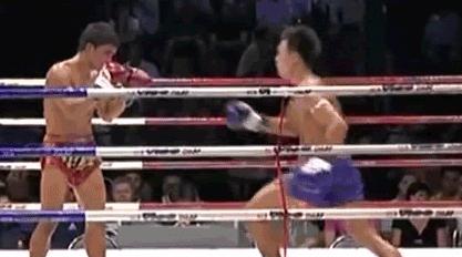 泰拳膝盖肘击的威力有多大,泰拳杀手最新视频