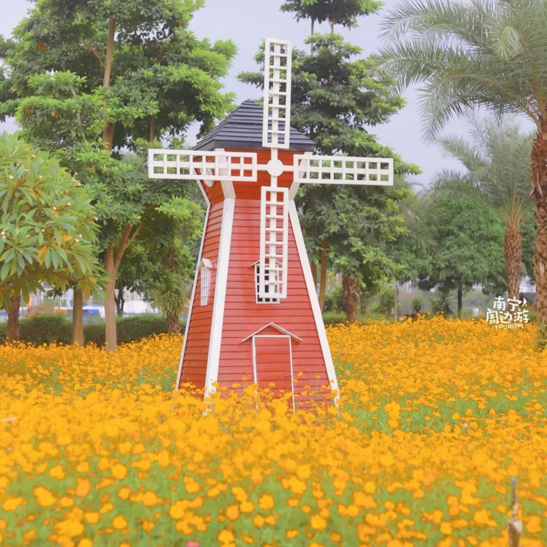 南宁花海公园在哪里,南宁嘉和城附近花海