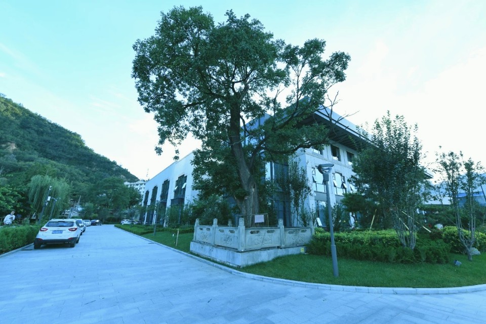 延安宾馆文化艺术,延安宾馆客房服务