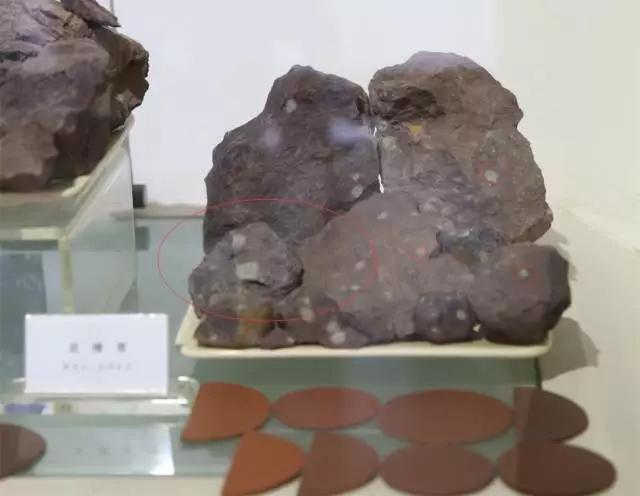 底槽紫泥和底槽清有什么区别,怎么区分中槽清和底槽清