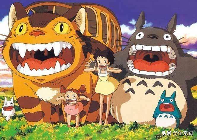 龙猫到底是个什么物种,宠物龙猫饲养注意事项有哪些