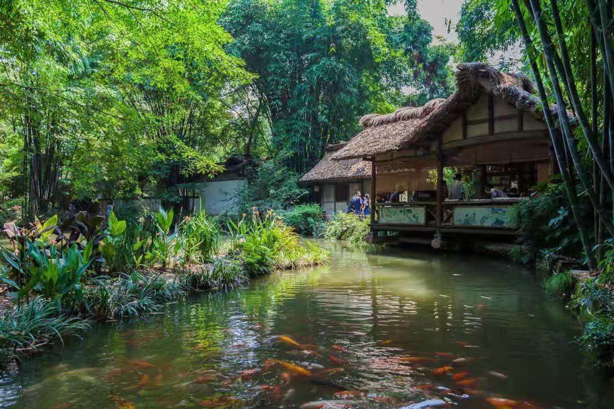 杜甫的作品类型风格及其代表作品,比较李白浪漫主义和杜甫现实主义