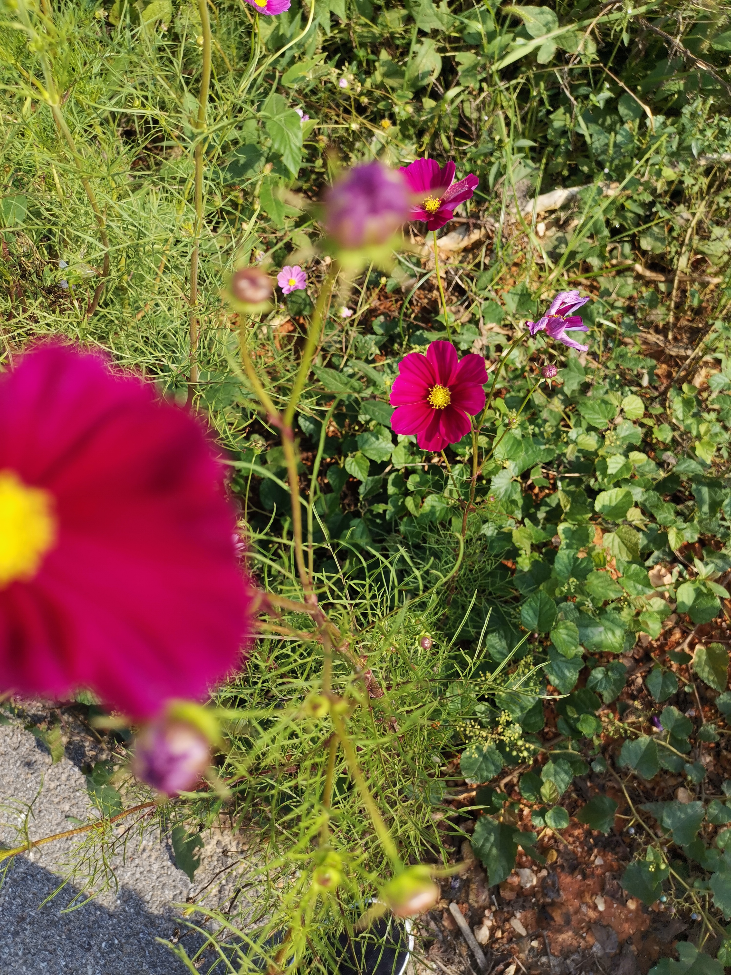 适度是人类社会的核心准则,适度才是一个人要做到的基础