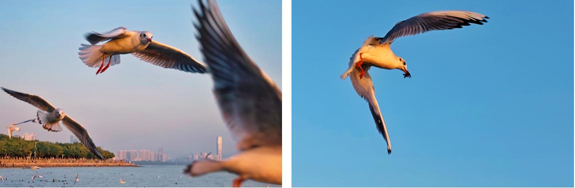 用iphone12拍大片,用iphone12拍出电影感