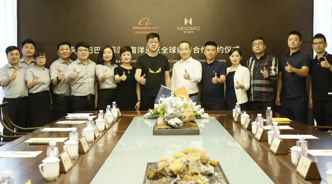 家居界大事件,南洋迪克事件