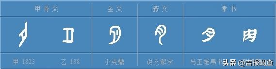 “说文解字”巧说“年”！“酒肉”不可少，喝碗“汤”很滋补……