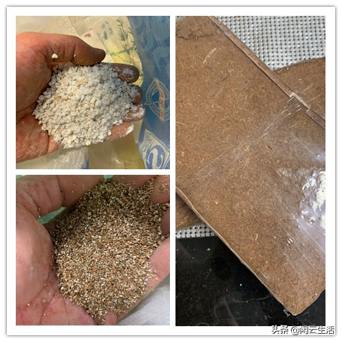 还在买几块钱包邮的营养土吗？快停止吧！——室内植物配土说明