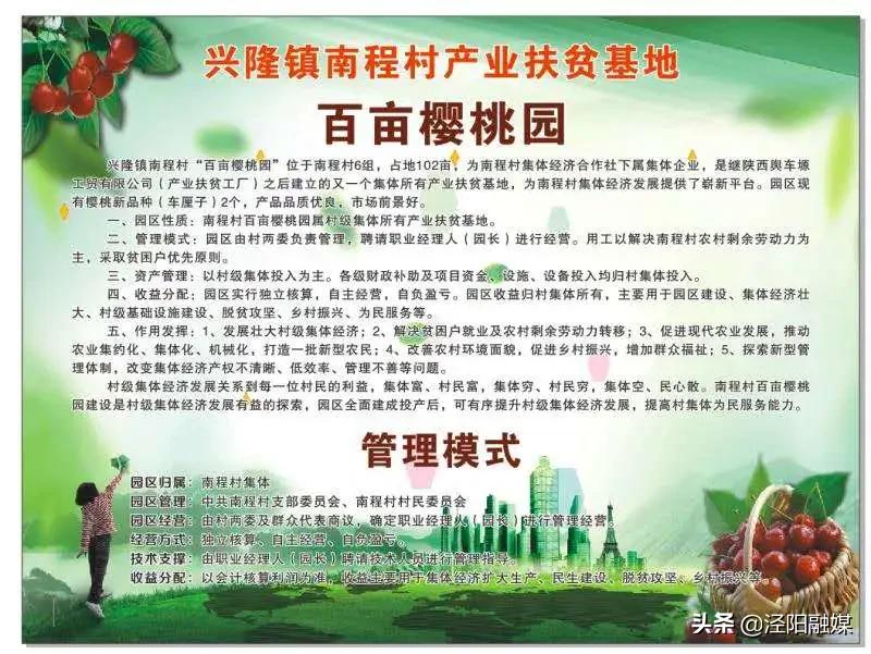 泾阳大樱桃,吃樱桃需要注意哪些事项