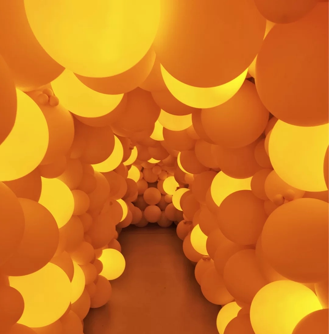 趣客户|#Hashtage：永嘉路上的网绿集合店