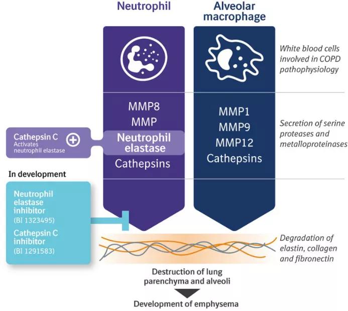 慢性阻塞性肺病要怎么治疗,慢性阻塞性肺病早期治疗