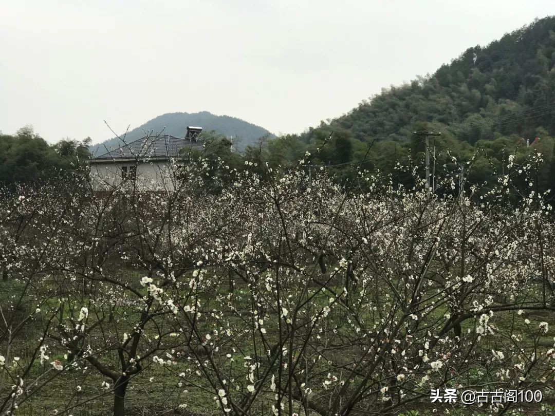 萧绍古道沿途风景,萧绍古道难爬吗