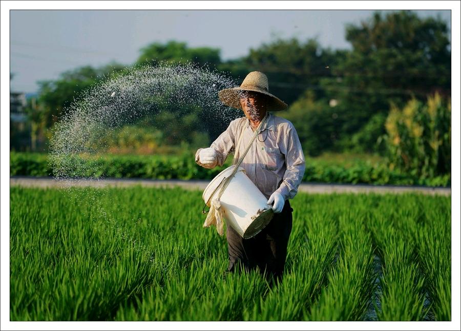 新农业和农业啥区别,什么是农业