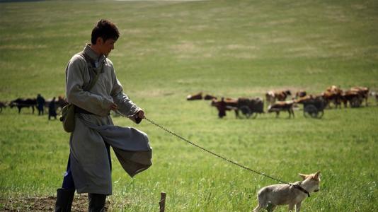 狼图腾巨大争议,狼图腾电影深度解析