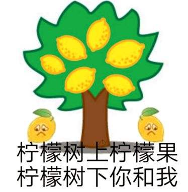 投资信托的最佳方法,投资理财型股权信托