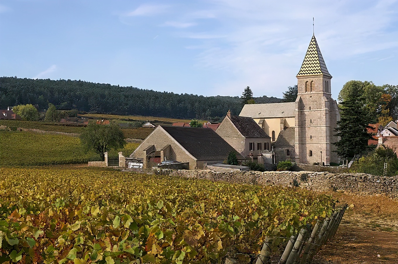 拉菲酒庄是哪个产区,拉菲是酒庄吗