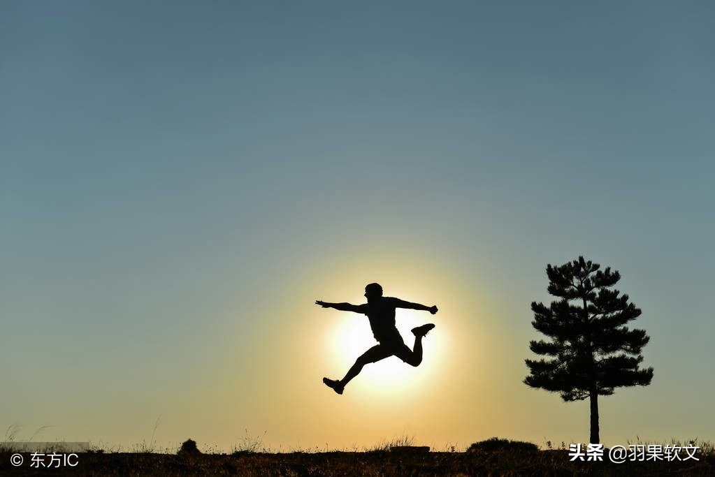 《布鲁克林有棵树》:苦难铸就成长,温情培育希望