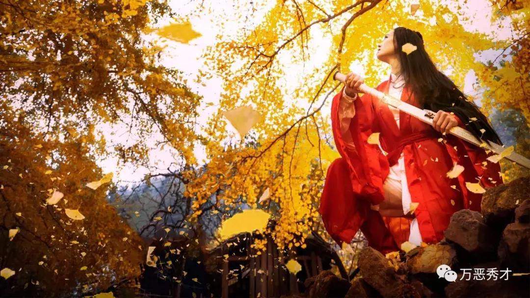 狐狸的尾巴为什么不能摸,狐狸的尾巴很敏感吗