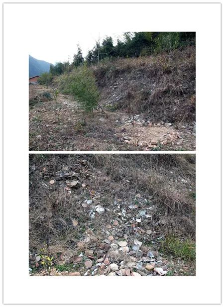 瓯窑遗址分布,苍南古遗址