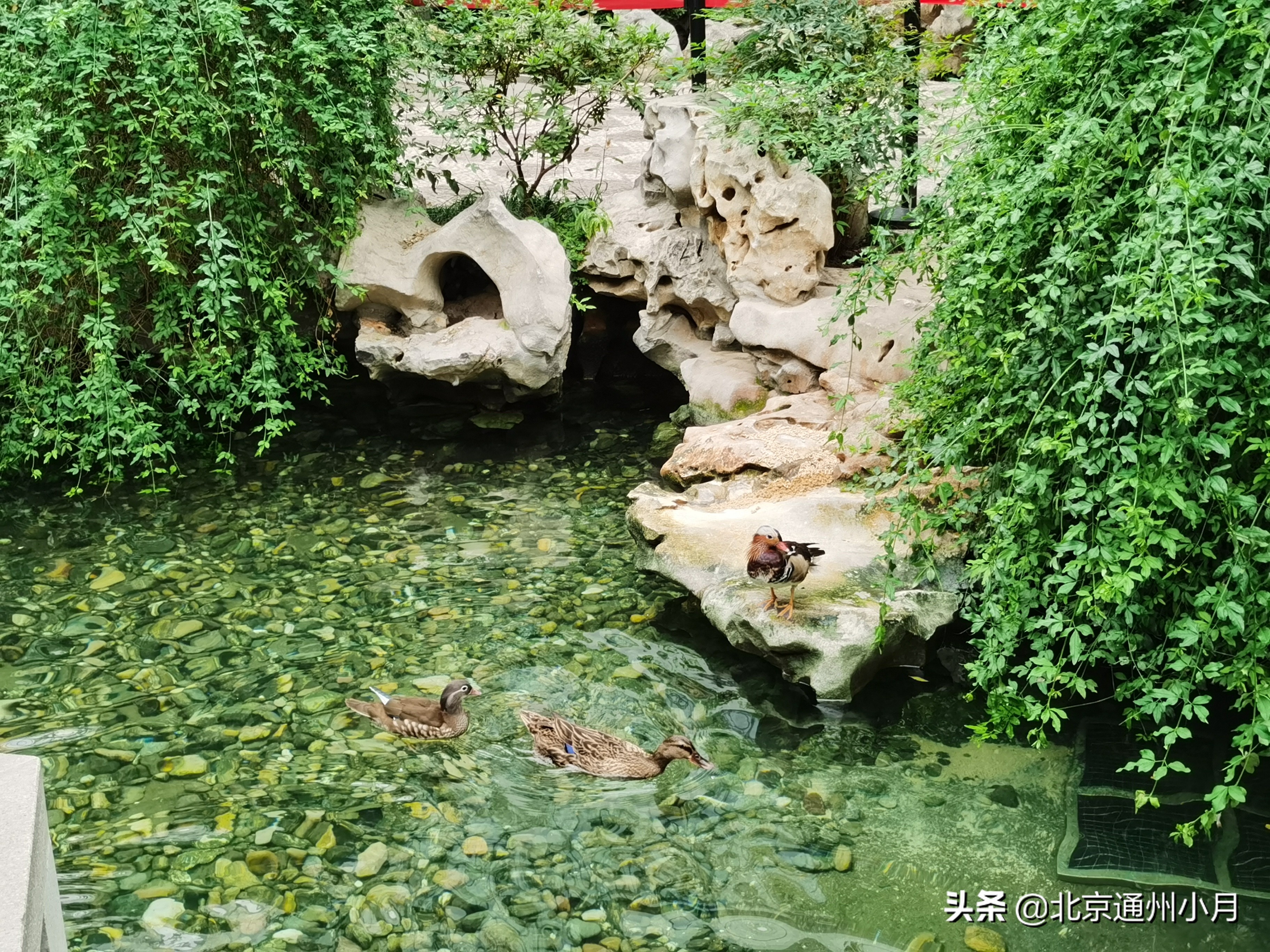 北京适合遛娃的公园,北京户外遛娃好去处冬天