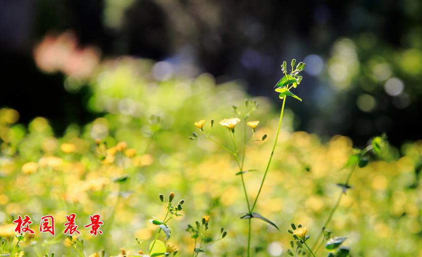 北京硬核大学:1个学科世界第一,获央视、人民日报等媒体百余次聚焦!