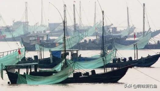 价值6.5万的河鳗，他却选择放生！同为鳗鱼，河鳗为何如此昂贵