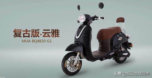 电动车品牌金箭电动车,电动车品牌质量排名新能源电动车