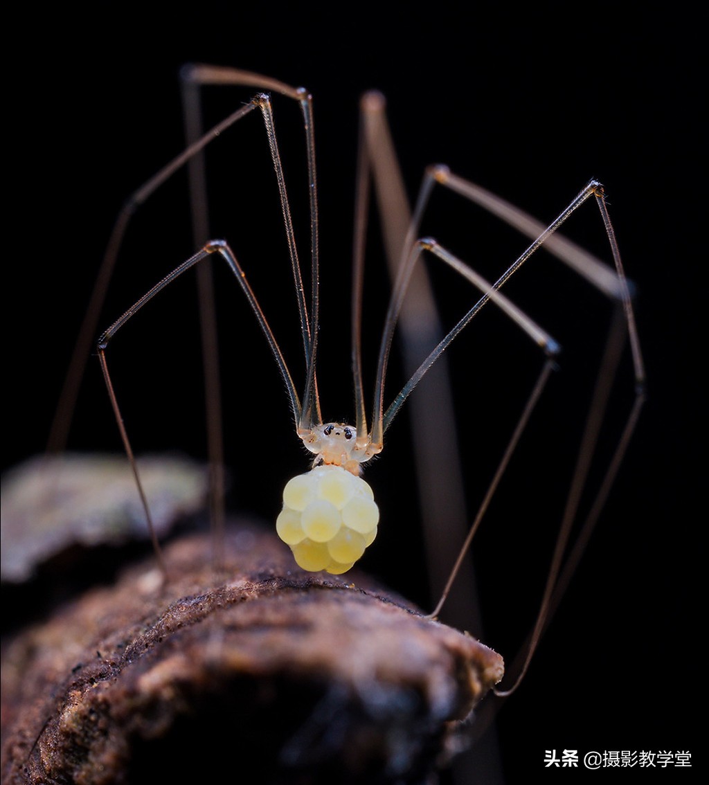 相机拍照应该如何选择对焦点,相机对焦怎么样设置最中间对焦点