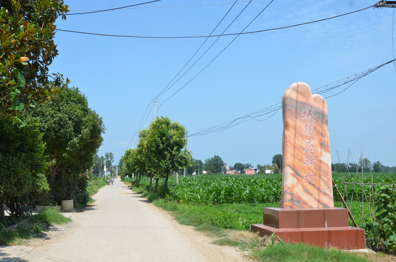 建功立业在乡村——记镇平县枣园镇城隍庙村第一书记徐建业