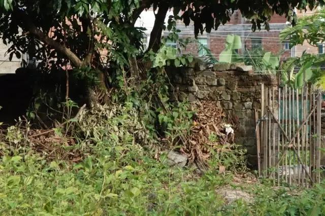 红色乡村简介,红色乡村文旅景区